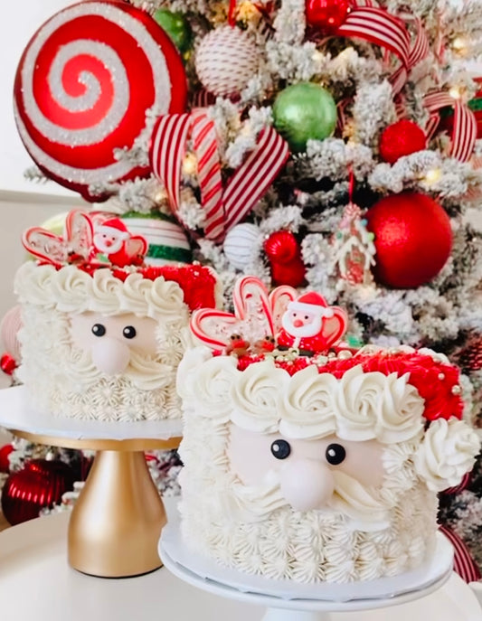 Santa Cake Class (December 10th) 12:30-4pm